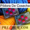 Píldora De Cosecha 14